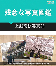 ふるさとの姿