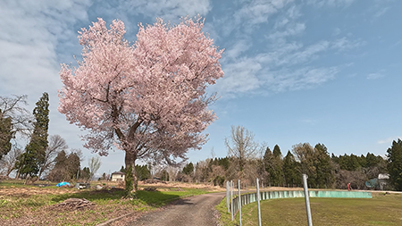 ふるさと百景